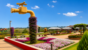 �guas de Lind�ia, Expoflora e Po�os de Caldas